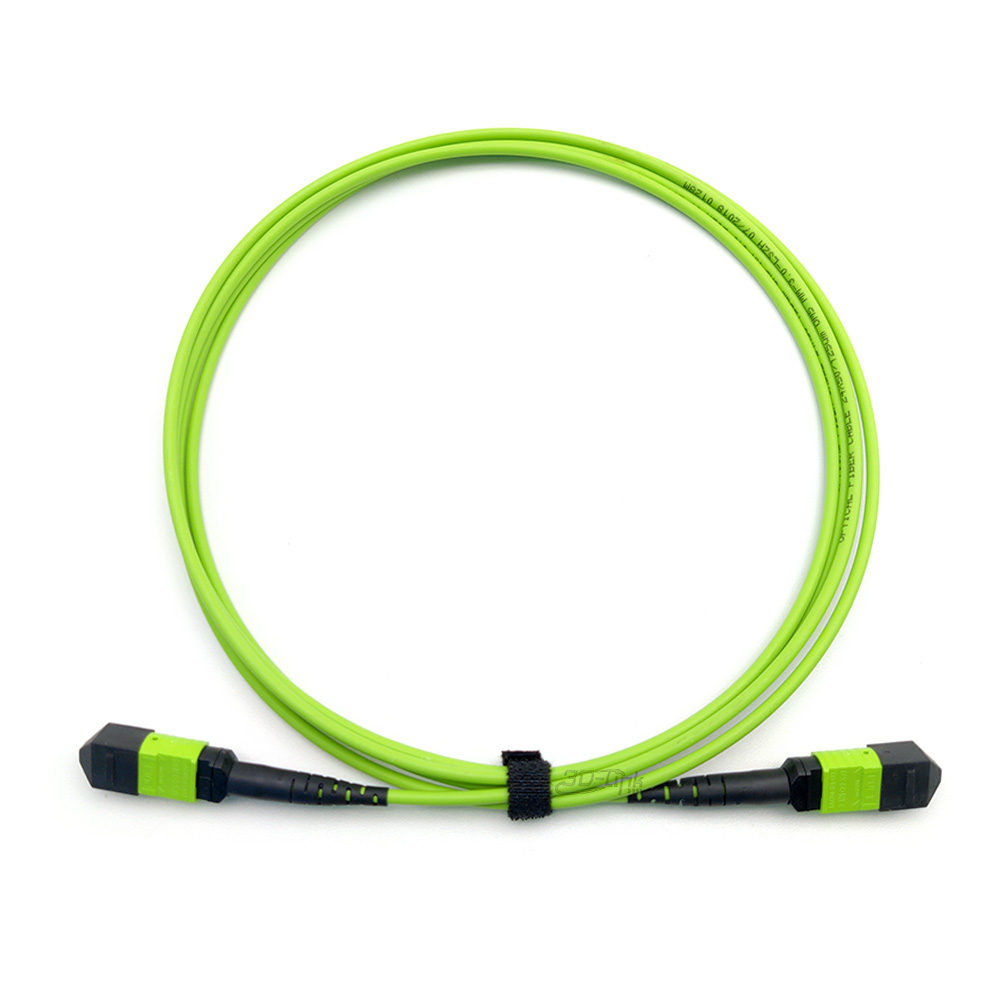 MTP/MPO MM OM5 3.0mm 24Cables 